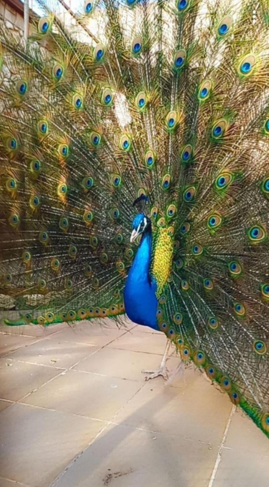 Guest Rooms Wild Duck Ezerets Εξωτερικό φωτογραφία